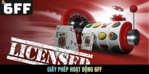 Giấy phép hoạt động 6FF